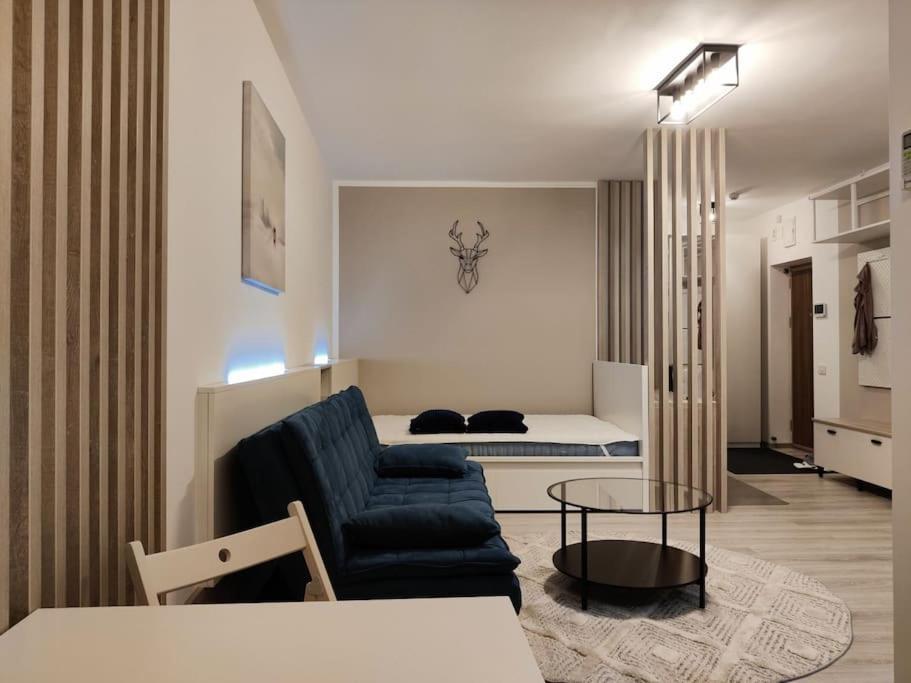 Joy City Stay Vivalia V6A-41 Temeşvar Dış mekan fotoğraf
