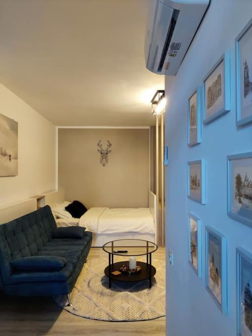 Joy City Stay Vivalia V6A-41 Temeşvar Dış mekan fotoğraf