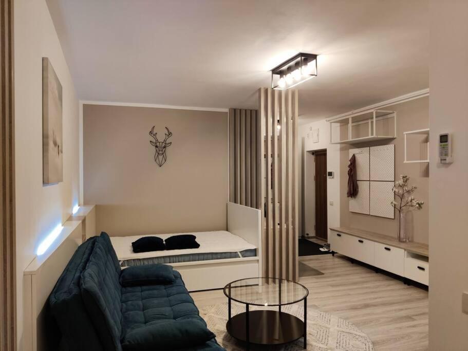 Joy City Stay Vivalia V6A-41 Temeşvar Dış mekan fotoğraf